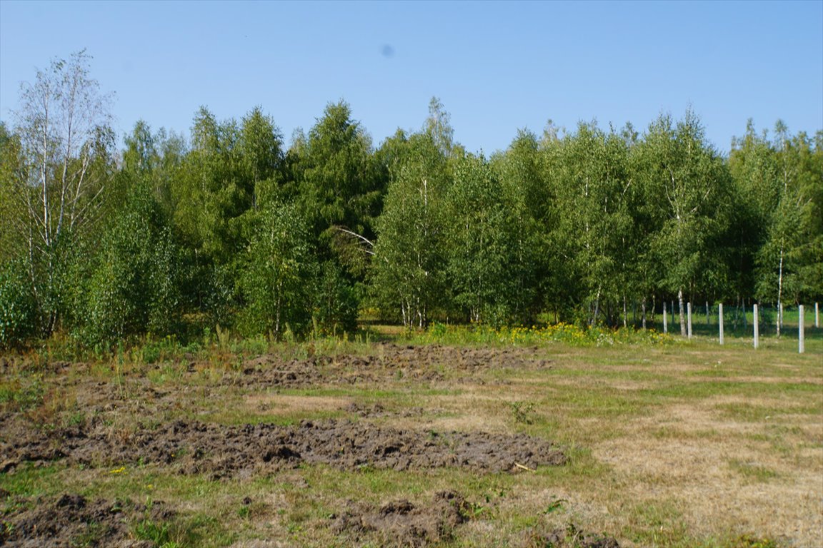 Działka budowlana na sprzedaż Sulejówek, Żurawka, Graniczna  917m2 Foto 2