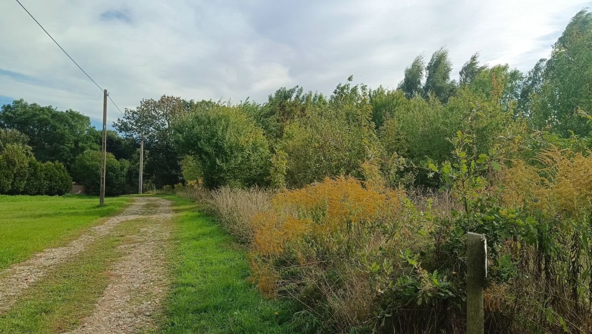 Działki w Bytkowie – idealne pod dom marzeń, 931 m² Bytkowo, Bytkowo  931m2 Foto 1