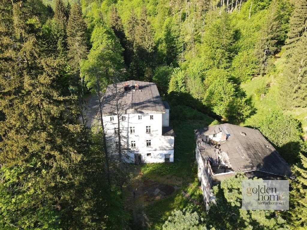 Działka inwestycyjna na sprzedaż Kletno, Śnieżnik Jaskinia Niedźwiedzia  19 400m2 Foto 11