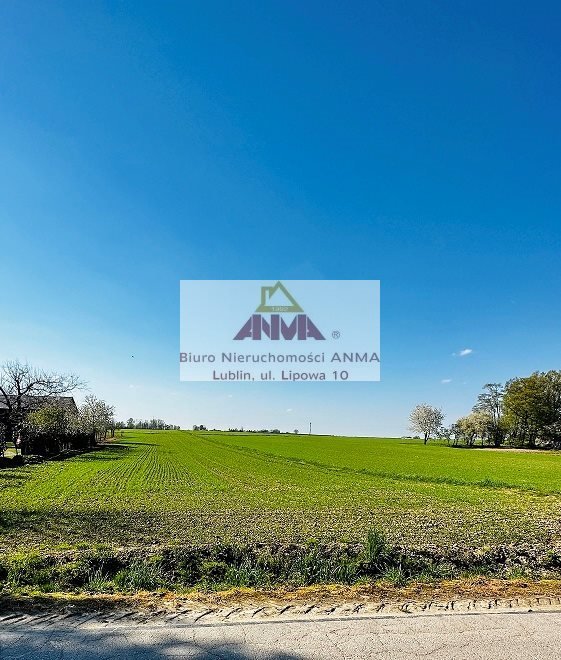 Działka 2000 m2 z dostępem do asfaltu, spokojna okolica Ignaców  2 000m2 Foto 1