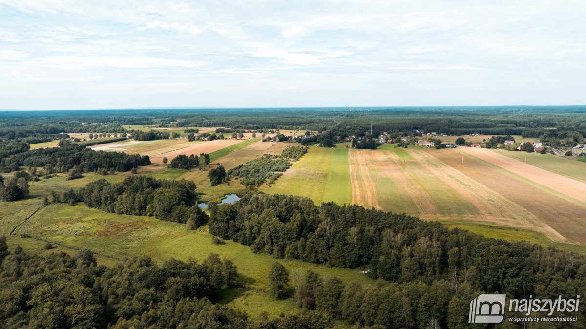 Działka rolna na sprzedaż Czermnica  17 100m2 Foto 4