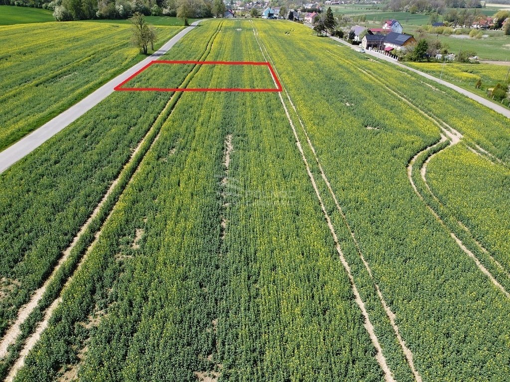 Działka budowlana na sprzedaż Żeliszów  1 304m2 Foto 3