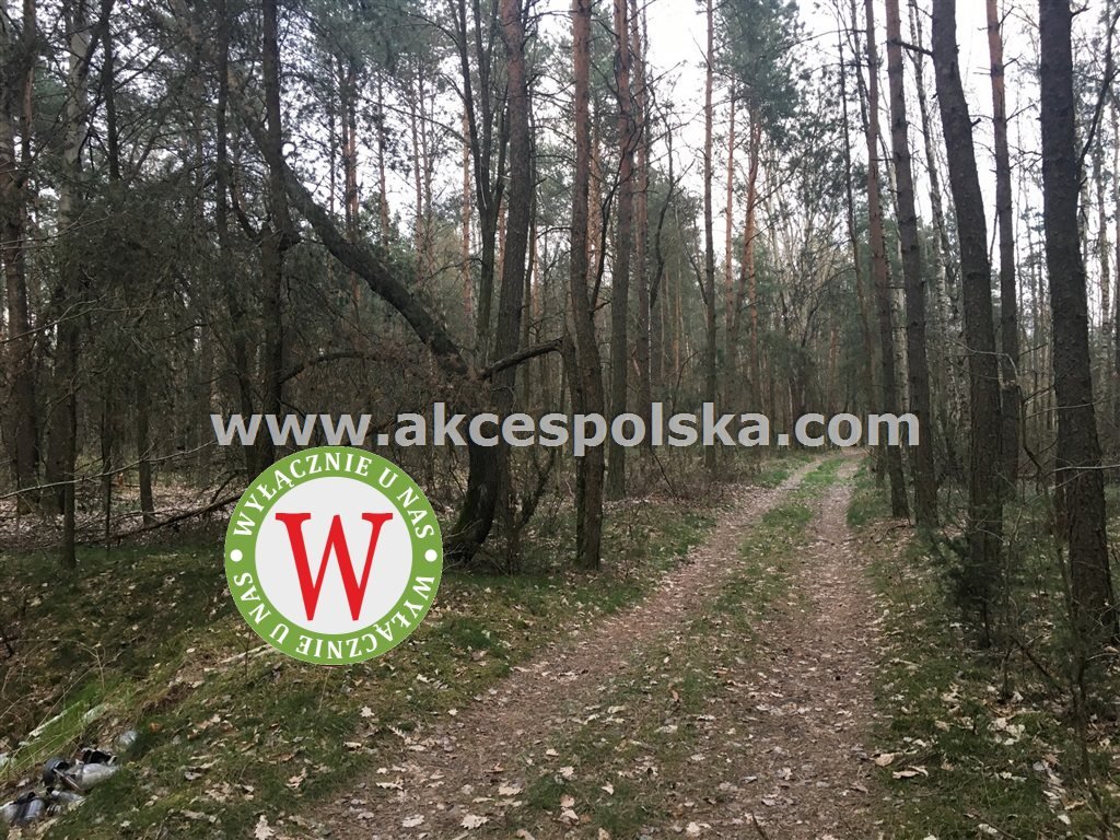 Działka inna na sprzedaż Zieleniec, Józefów  11 800m2 Foto 17