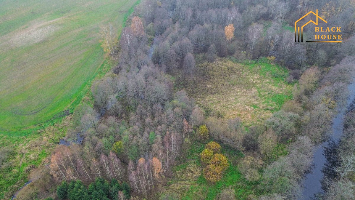 Działka inwestycyjna na sprzedaż Dębinka  8 108m2 Foto 1