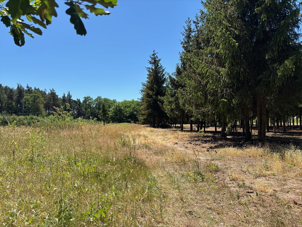 Działka budowlana na sprzedaż Prace Duże  1 177m2 Foto 1