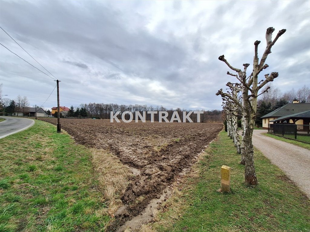 Działka budowlana na sprzedaż Oświęcim, Dwory Drugie, Oświęcimska  1 100m2 Foto 1