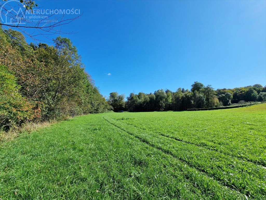 Działka rolna na sprzedaż Strzeszyn  3 900m2 Foto 8