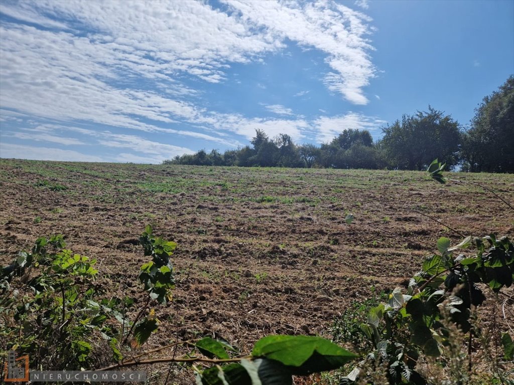 Działka siedliskowa na sprzedaż Narama  1 513m2 Foto 1