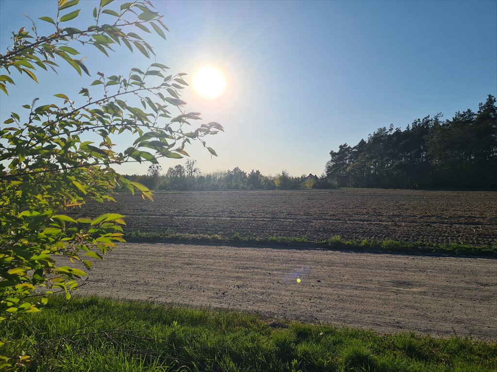 Działka budowlana na sprzedaż Sochaczew, Wypalenisko, Przylasek  3 820m2 Foto 2