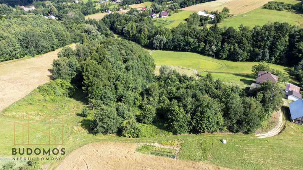 Działka rolna na sprzedaż Dębowa  7 200m2 Foto 3