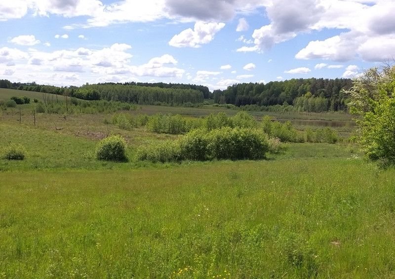 Działka rolna na sprzedaż Nowosady  22 800m2 Foto 7