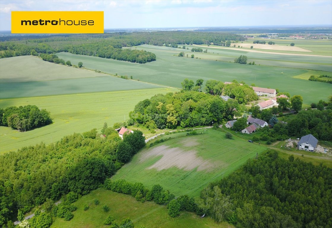 Działka budowlana na sprzedaż Okmiany  4 661m2 Foto 1