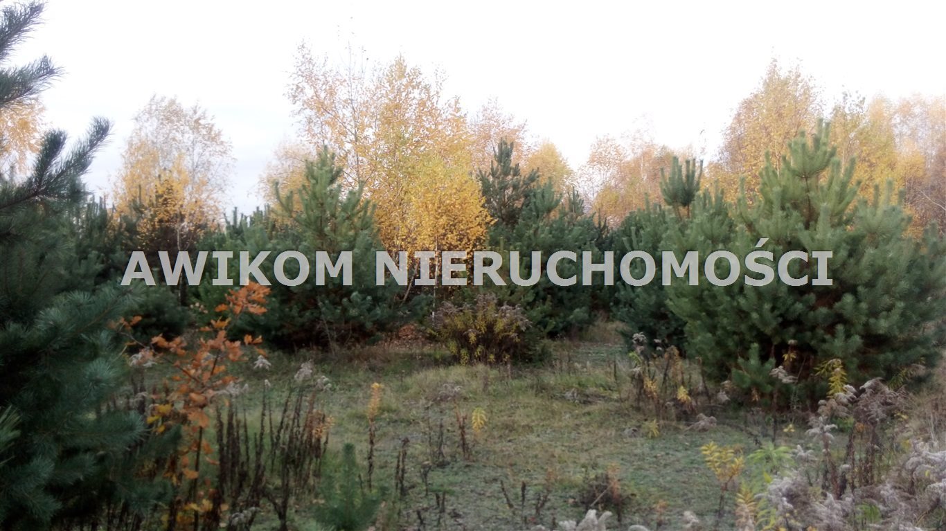 Polecam działkę 6140 m² pod zabudowę mieszkaniową i usługową Skierniewice  6 140m2 Foto 1