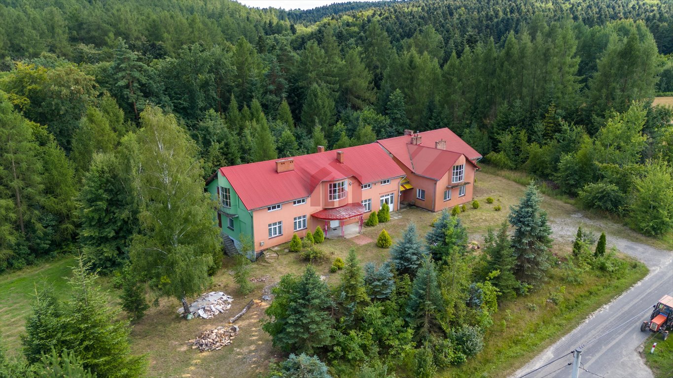 Lokal użytkowy na sprzedaż Cierpisz  971m2 Foto 4