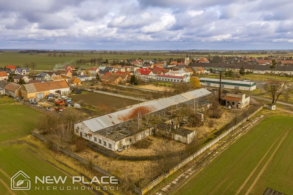 Magazyn na sprzedaż Jankowice Wielkie  2 052m2 Foto 4