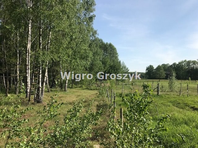 Działka 3000 m² z domkiem, las, blisko Warszawy Leoncin, Secymin Polski  3 000m2 Foto 1