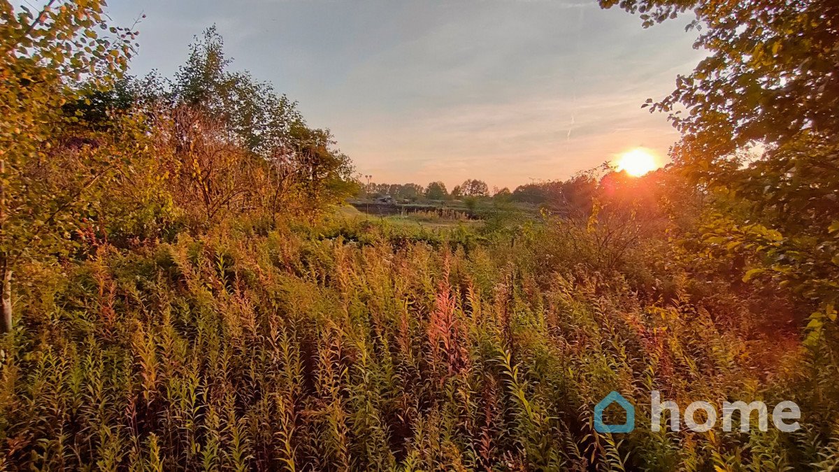 Działka 10 113 m² z warunkami zabudowy w Pędzewie Pędzewo  10 113m2 Foto 1