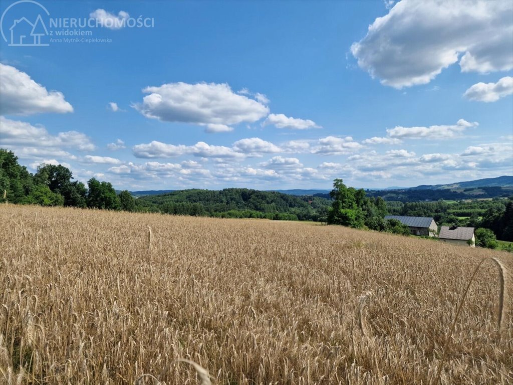 Działka budowlana na sprzedaż Błażkowa  2 200m2 Foto 6