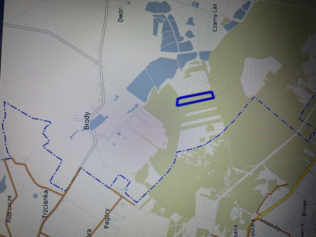 Działka leśna 3,9 ha z dojazdem, sosna i brzoza Brody  39 390m2 Foto 1