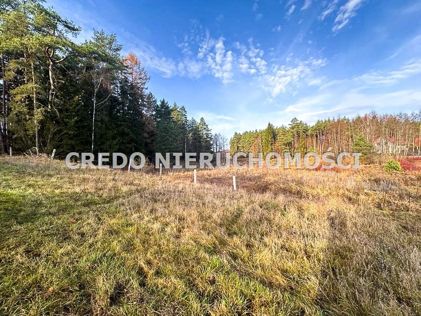 Działka rolna na sprzedaż Spychowo  2 636m2 Foto 9