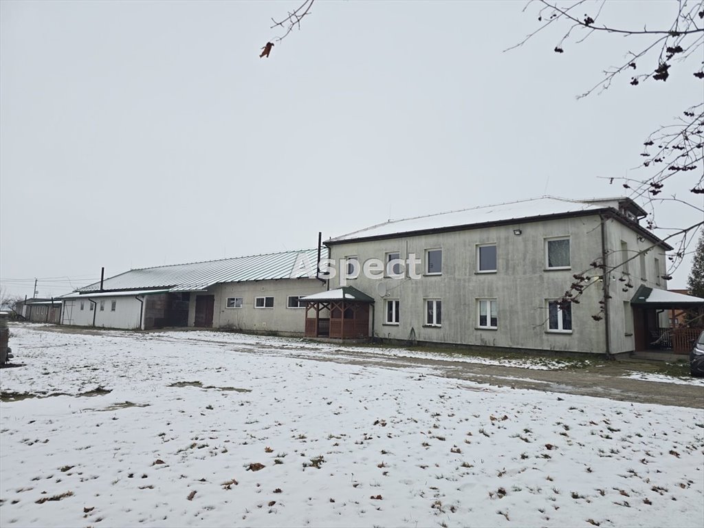 Lokal użytkowy na sprzedaż Krubin  2 000m2 Foto 1