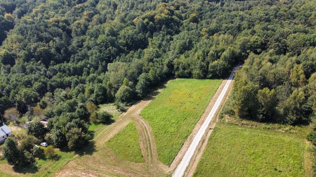 Działka budowlana na sprzedaż Nowy Borek  4 175m2 Foto 2