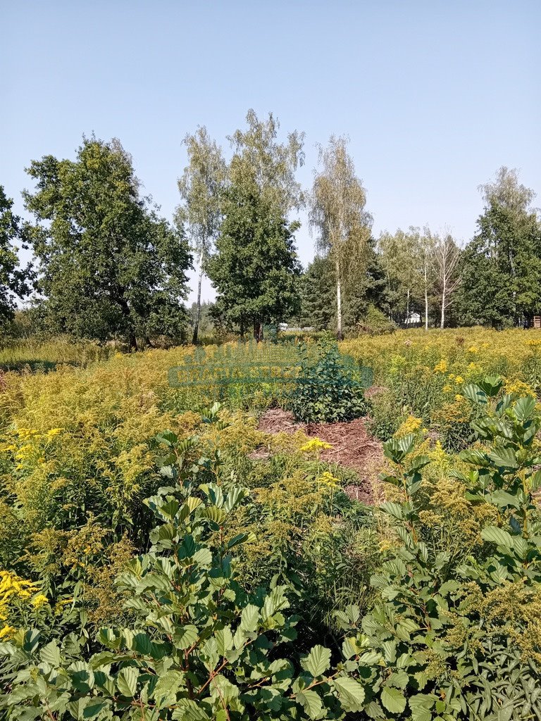 Działka budowlana na sprzedaż Izabelin-Dziekanówek  1 200m2 Foto 10