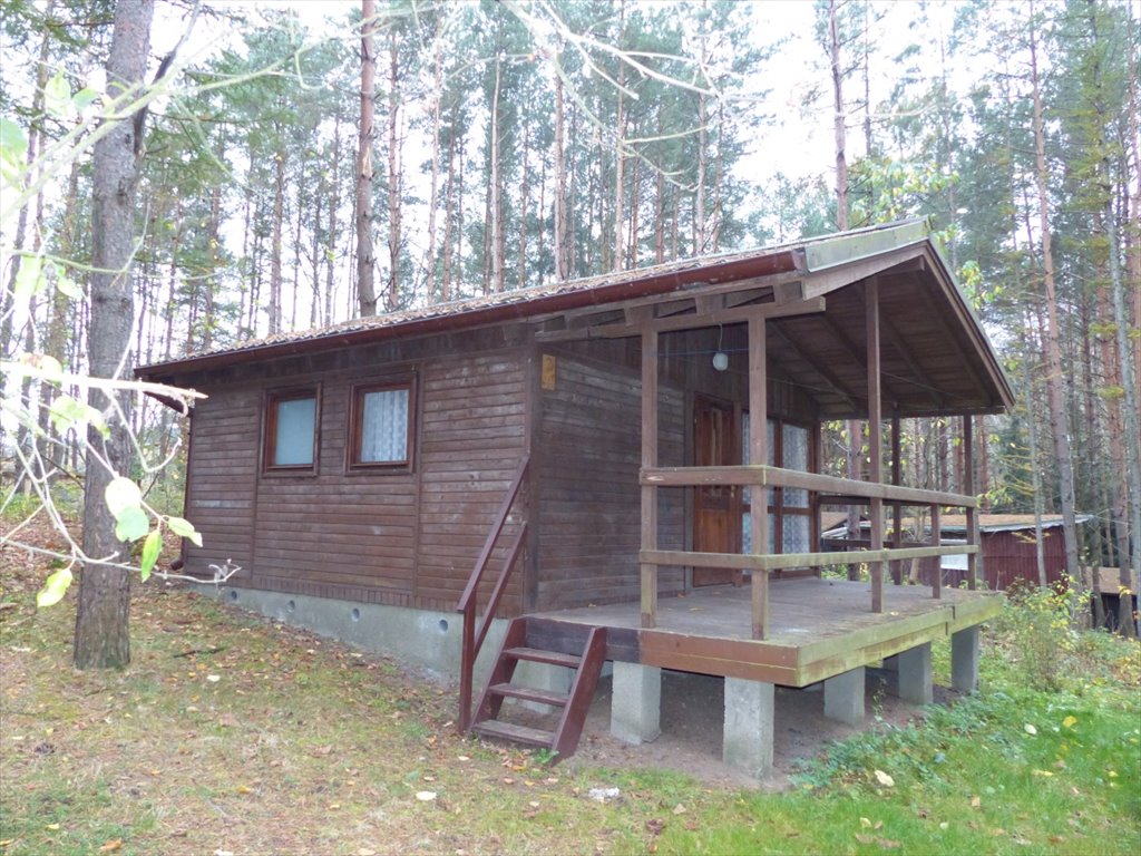 Lokal użytkowy na sprzedaż Biskupiec, Biskupiec, Wilimy  19 300m2 Foto 8