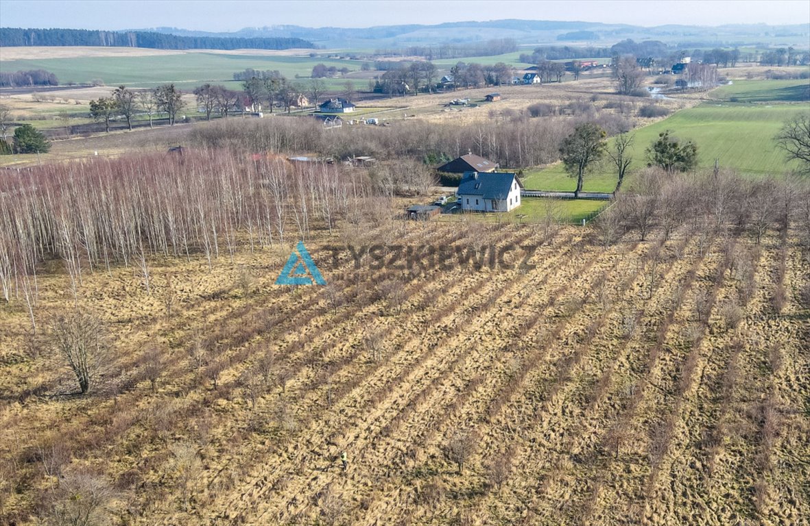 Działka budowlana na sprzedaż Gołębiewo Wielkie, Irysowa  1 515m2 Foto 7