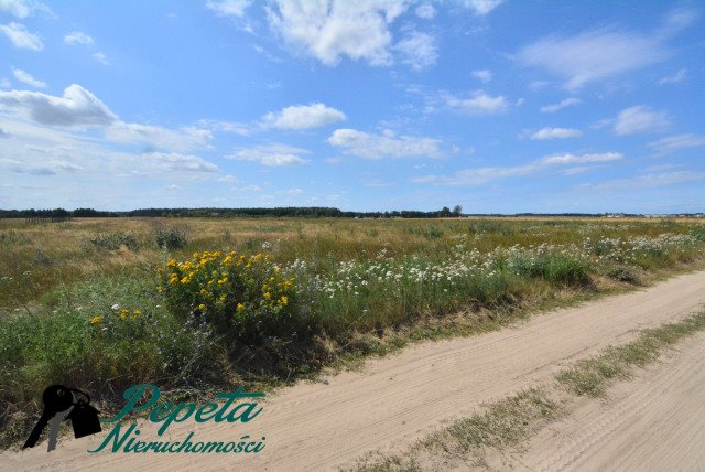 Działka budowlana na sprzedaż Kórnik, Kórnik, Radzewo  10 462m2 Foto 4