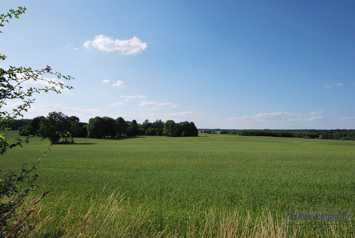 Działka inna na sprzedaż Mieszałki  139 900m2 Foto 10