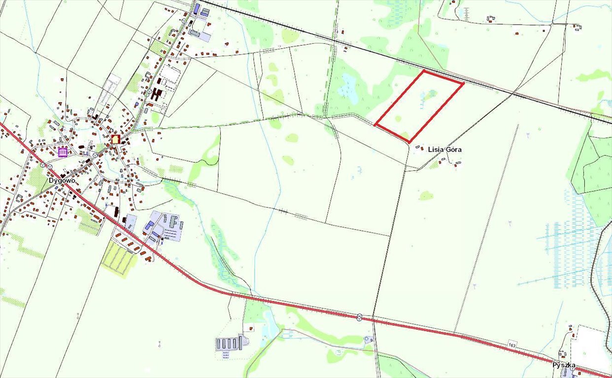 Malownicza działka 12,1 ha z jeziorkiem i lasem zapraszam Dygowo, Lipowa  121 000m2 Foto 1