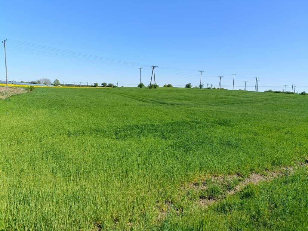Działka rolna na sprzedaż Strachocin  16 900m2 Foto 1