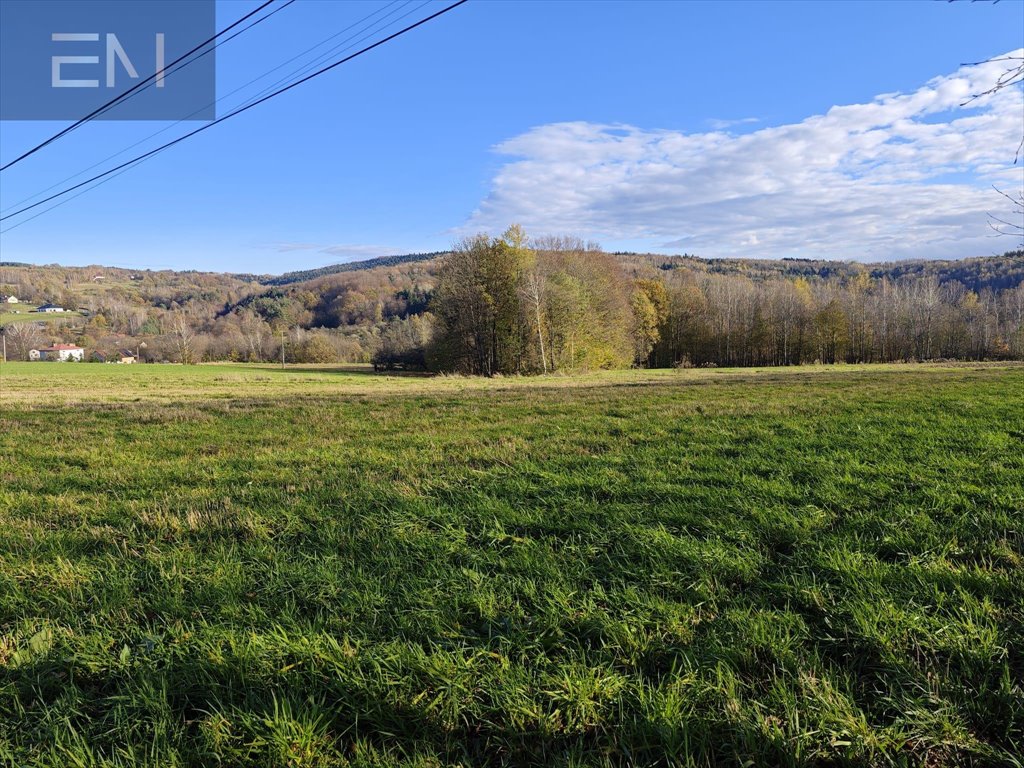 Działka budowlana na sprzedaż Konieczkowa  4 600m2 Foto 1