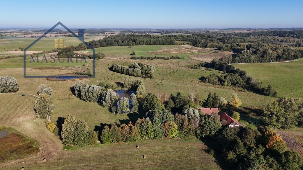 Do sprzedania działka 24 ha z siedliskiem w Tłokowie Tłokowo  235 300m2 Foto 1