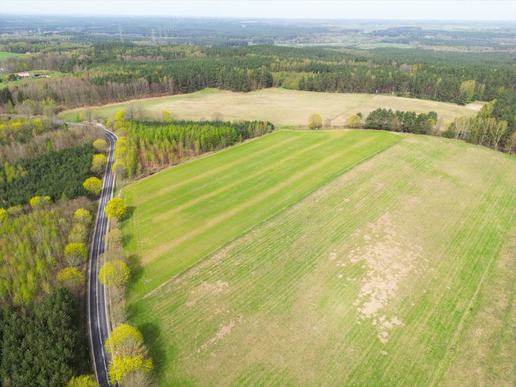 Działka rolna na sprzedaż Barwino  11 300m2 Foto 3