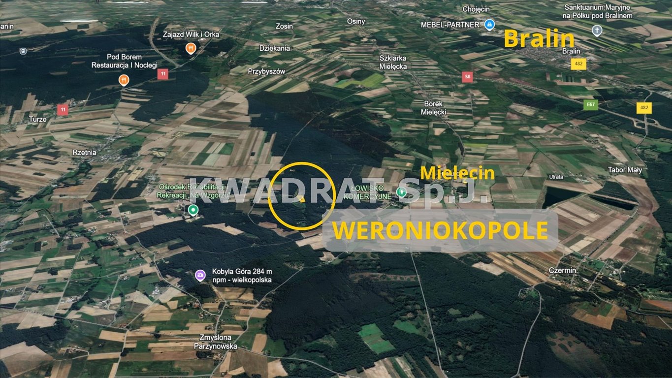 Działka budowlana na sprzedaż Weronikopole  2 900m2 Foto 5