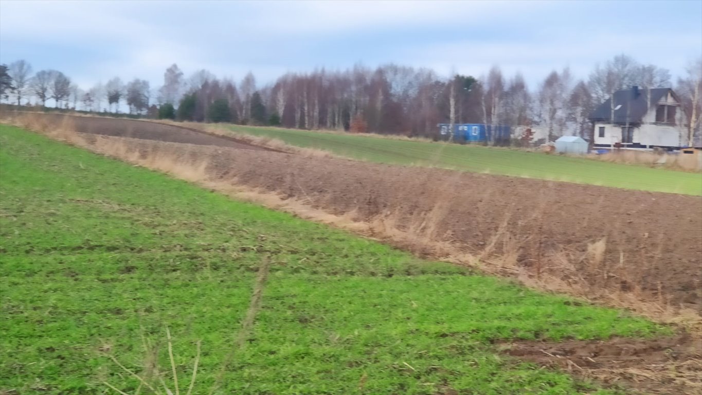 Działka rolna na sprzedaż Kuleszewo  26 163m2 Foto 6