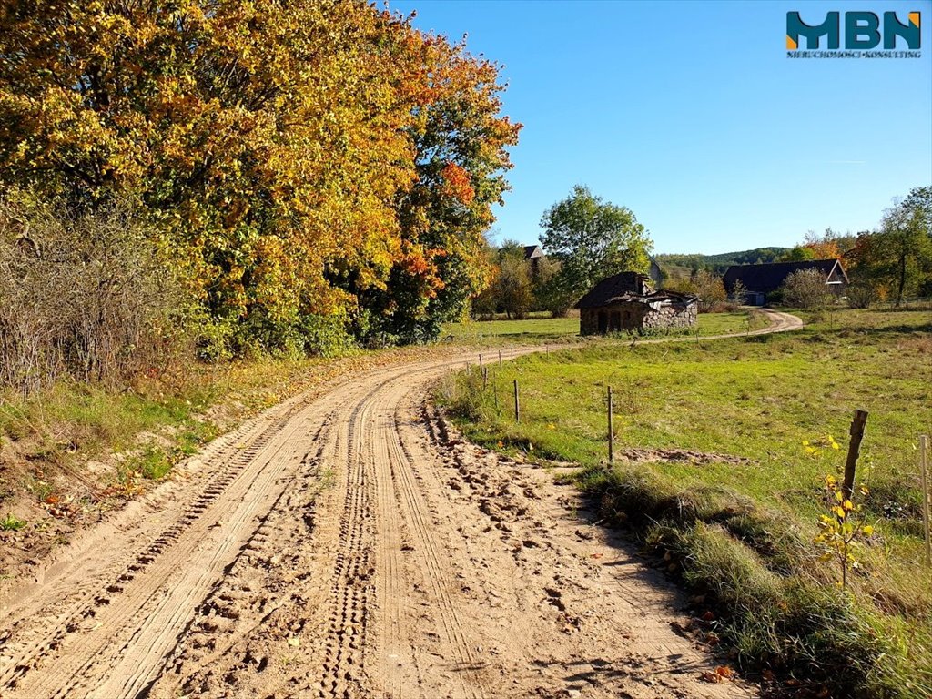 Malownicza działka 6,49 ha z ruinami i lasem Jakunówko, Jakunówko  64 909m2 Foto 1