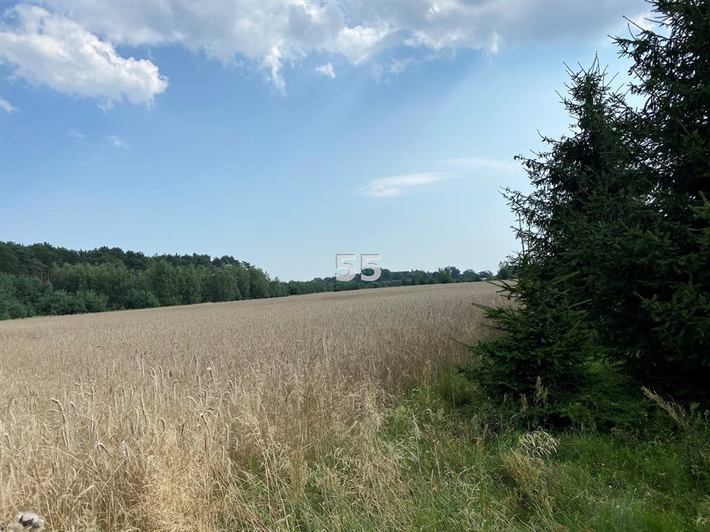 Działka inna na sprzedaż Stary Adamów  48 000m2 Foto 1