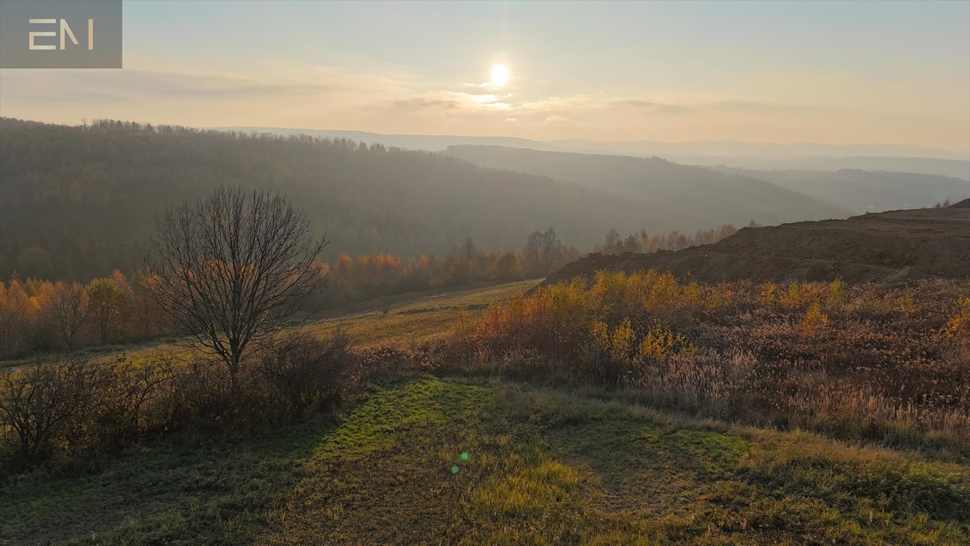 Działka budowlana na sprzedaż Żarnowa  5 000m2 Foto 5