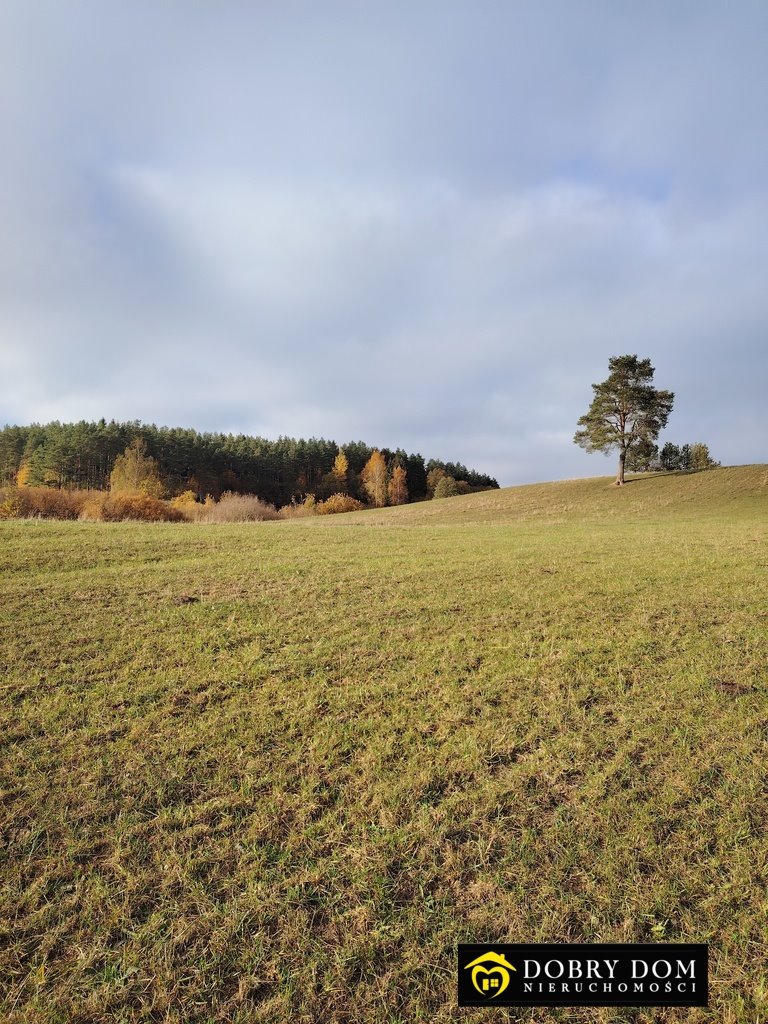 Działka rolna na sprzedaż Przerośl  43 316m2 Foto 5