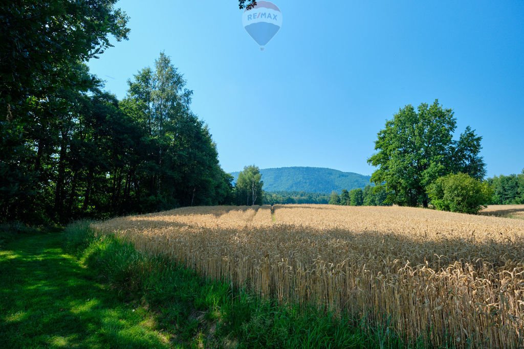 Działka rolna na sprzedaż Czaniec  4 082m2 Foto 13