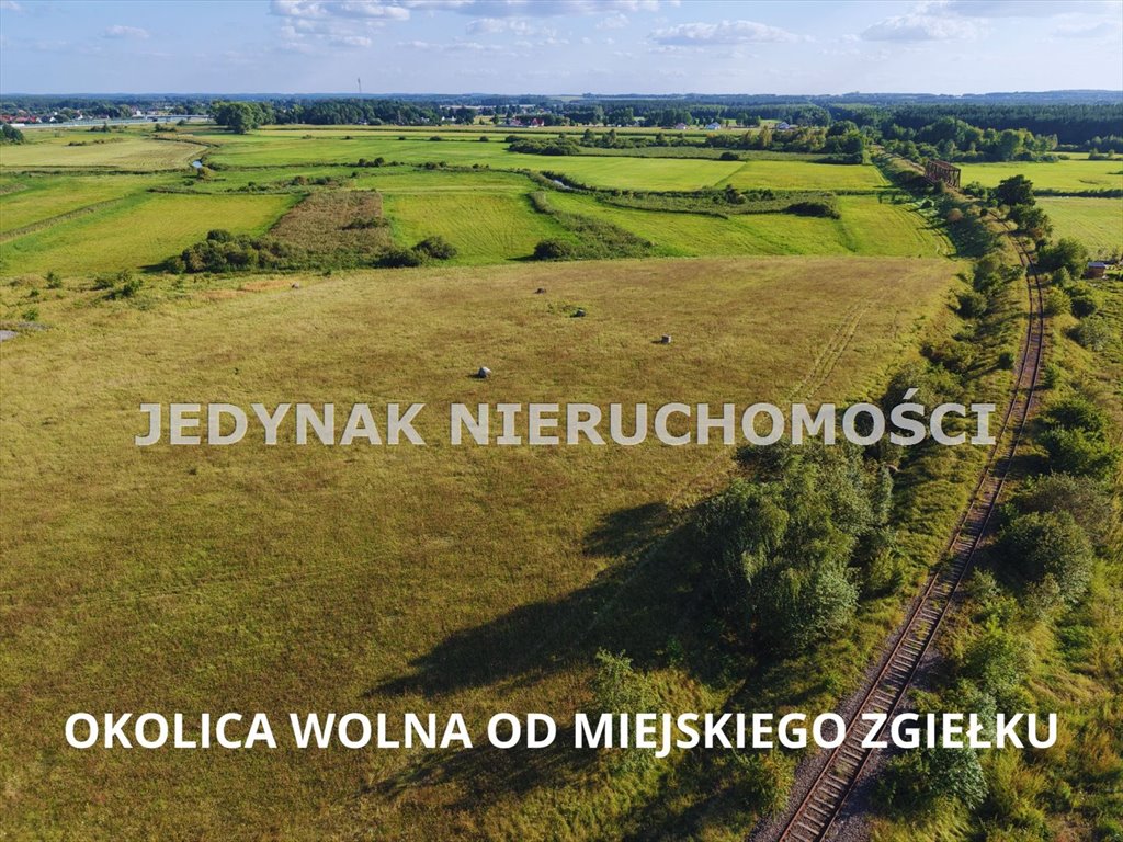 Zdjęcie 7