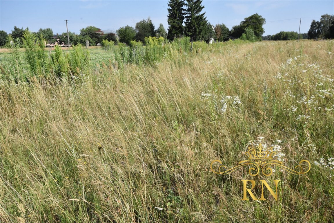 Działka budowlana na sprzedaż Skrobów  1 092m2 Foto 3