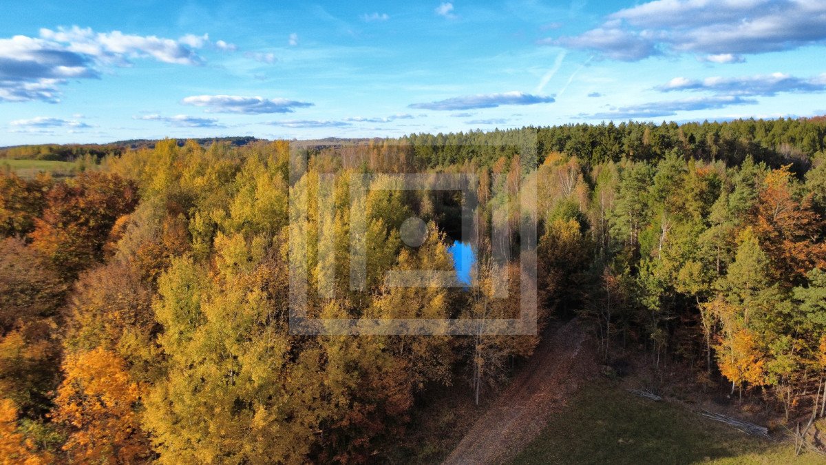 Działka 6253 m² z stawem, lasem i pięknymi widokami Gromadzin, Źródlana  6 253m2 Foto 1
