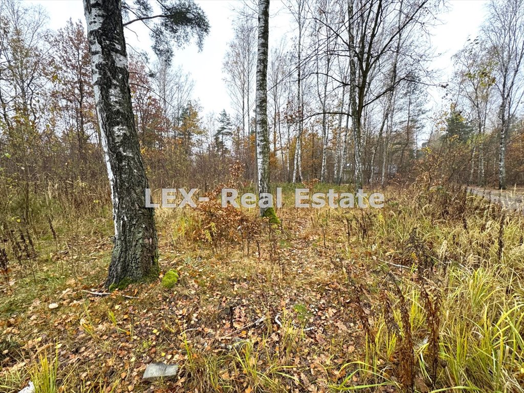 Działka budowlana na sprzedaż Strzeniówka  1 290m2 Foto 2