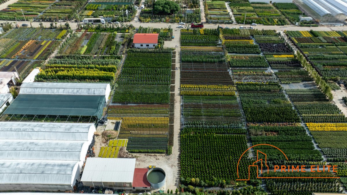 Działka 10 600 m² z mediami przy trasie S8, możliwość zabudowy Bronisze, Poznańska  10 600m2 Foto 1