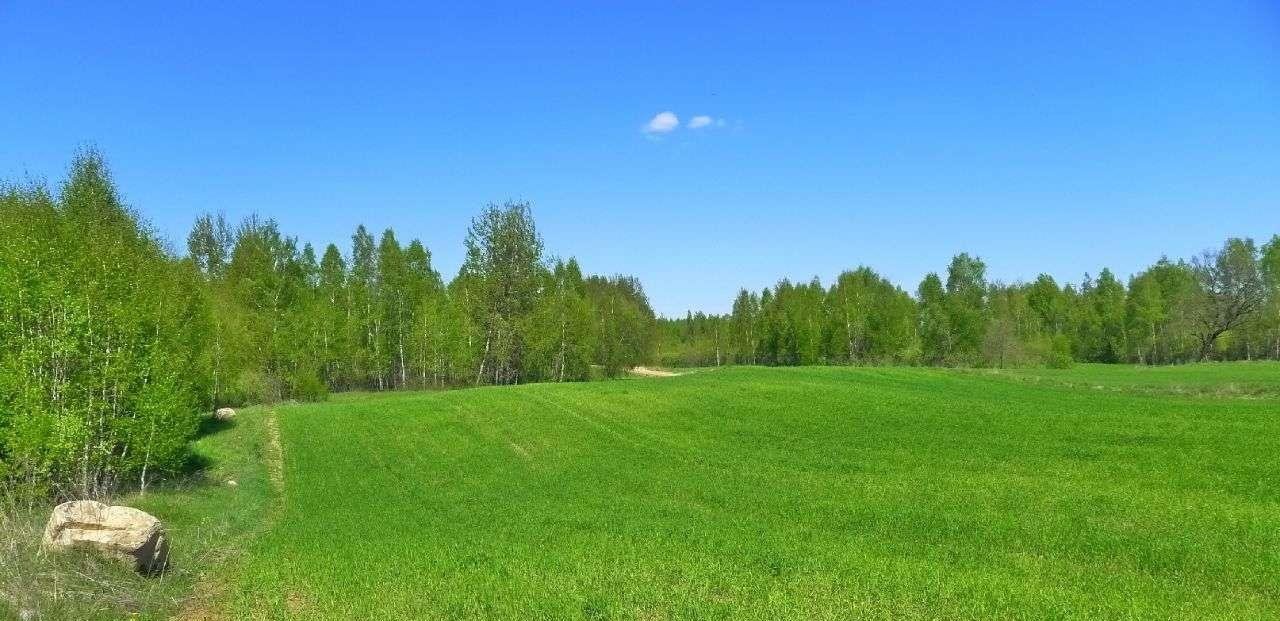 Działka rolna na sprzedaż Krasnopol  5 400m2 Foto 7