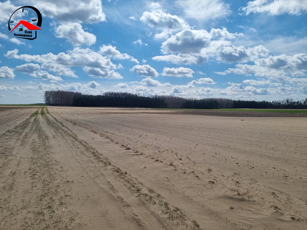 Działka gospodarstwo rolne na sprzedaż Barcin-Wieś  19 500m2 Foto 3